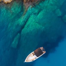 Boat Tours