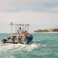 Cocoboat
