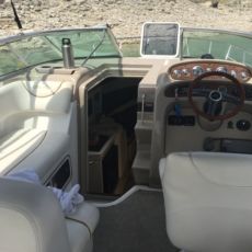 Captain