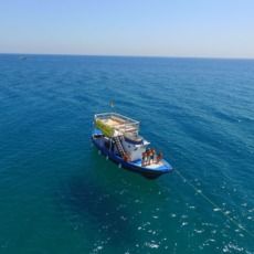 Seecily Cruises