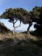 Claudio, 56 anni, Olbia