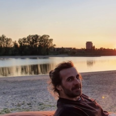 Niek de Haas