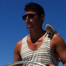 Nicolò