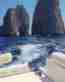 RENT Boat