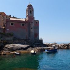 Patrizio