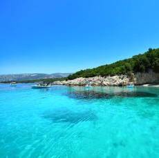 Costas
