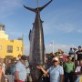 Francisco, 60 años, Chipiona