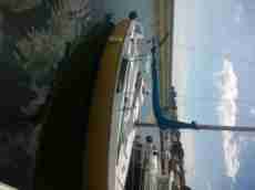 Sandrine
