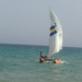 Walid