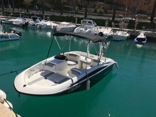 Alquiler Barco Sin Licencia Bayliner Element En Port Adriano