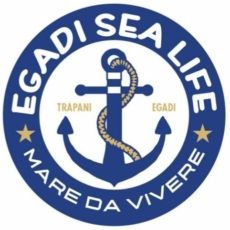 Egadi Sea Life