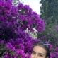 Carina
