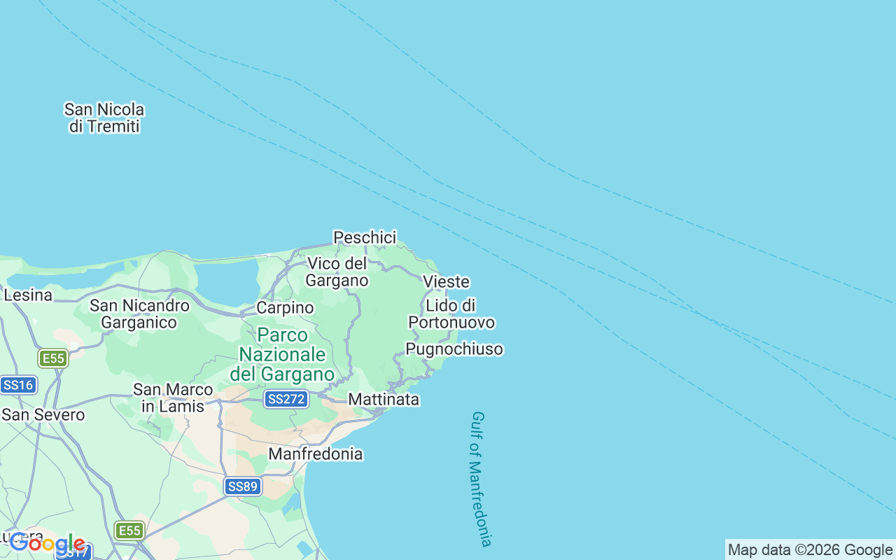 Location of the RIB: Vieste, 71019 Vieste