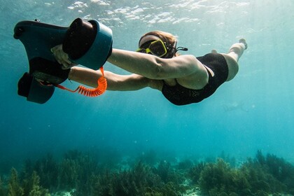 Hire Motorboat Cranchi DayCruise 35S Capri