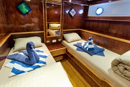 Snefro Pearl – 3 nights Dolphin Safari Cruise