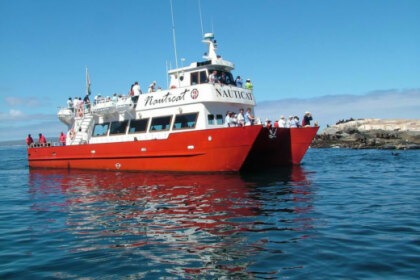 Hire Catamaran Nauticat 21.3 Cape Town