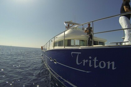 Combine luxury and speed with our beautiful Catamaran "Triton"