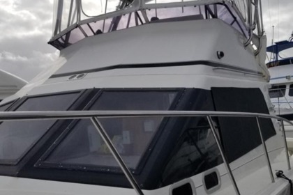Hire Motorboat Cabo 35 Cabo Flybridge San Diego