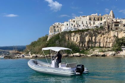 Italboats Predator 540 40 cv Suzuki 4 tempi