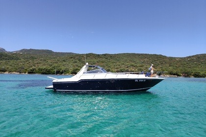 Charter Motorboat SEA RAY SEA RAY 46 Porto Rotondo