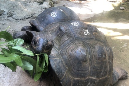 Daily private boat excursions