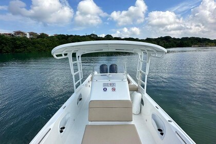 Sea Sr - Todomar 32'