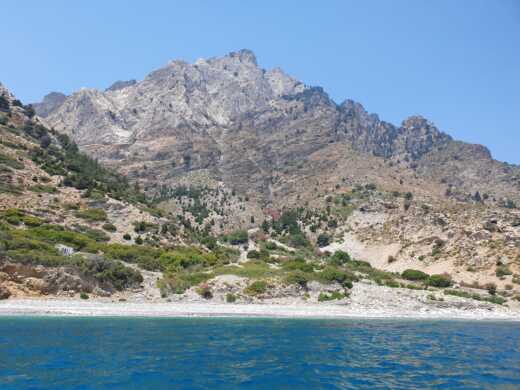 Cós Without license Poseidon - no license alt tag text