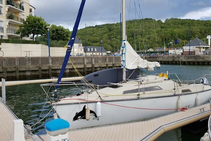 Ultramar Orque 70 QR  Sans Permis