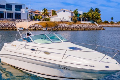 Sea Ray 240 Sundancer