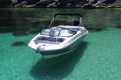 Bayliner VR6 con arco de Waveboard