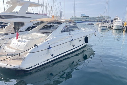 Rental Motorboat Sunseeker Portofino 50 Mallorca