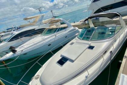 Charter Motorboat Sea Ray Boats Sundancer 340 Santo Domingo Este