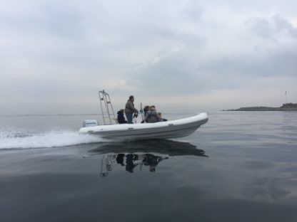 Charter RIB Nydam 600 Helsingør