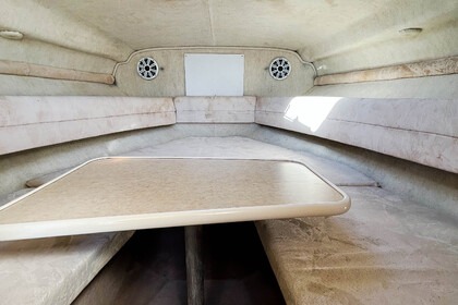 Sea Ray 240 Sundancer