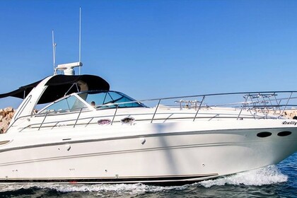 Hire Motorboat Sea Ray 455 Larnaca