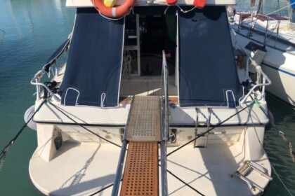 Piantoni Onda Azzurra Fly