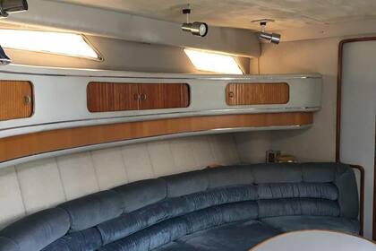 Sea Ray 450 Sundancer (DAILY CRUISES)