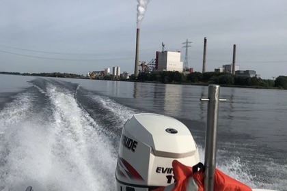 Rental Motorboat Boston Whaler Montauk 17 Hardinxveld-Giessendam