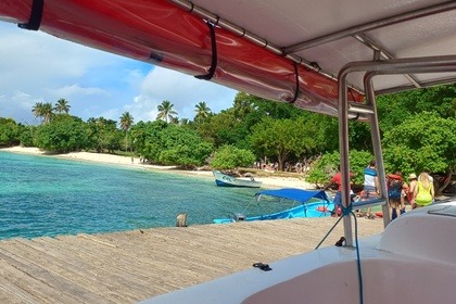 WHALES IN SAMANA FROM JANUARY TO APRIL, WHALES VISIT US. THEY COME EVERY YEAR TO MATE AND GIVE BIRTH. ENJOY THE SHOW IN COMFORT. HAITISES AND CAYO LEVANTADO AND THE WHALES