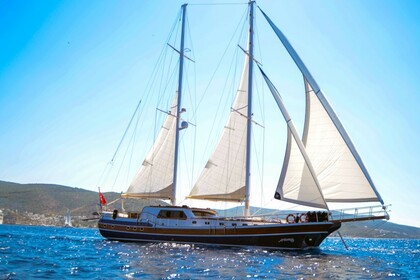 Deluxe Gulet Artemis - 24 Mt