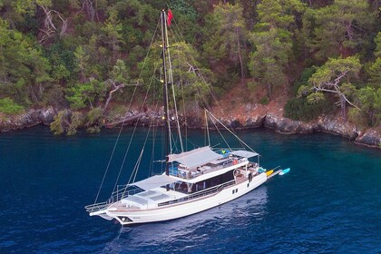 Hire Gulet Gulet Gulet NK2 Fethiye