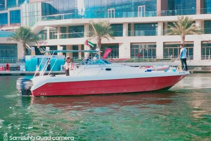 Hire Motorboat Silver Craft 36 Dubai