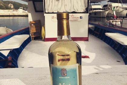 Gozzo Sorrentino Maria Consiglia