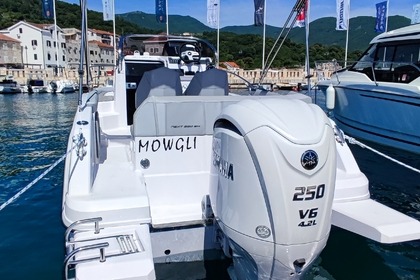 Rental Motorboat Ranieri NEXT 220 SH Herceg Novi