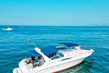 Hire Motorboat Sea Ray sundancer Puerto Vallarta