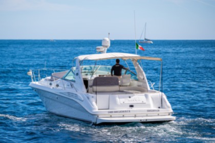 Alquiler Lancha Sea Ray 400 Sundancer Cabo San Lucas