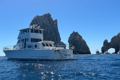 Rental Motor yacht WILBO Expedition Yacht Altata
