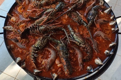 WHALES IN SAMANA FROM JANUARY TO APRIL, WHALES VISIT US. THEY COME EVERY YEAR TO MATE AND GIVE BIRTH. ENJOY THE SHOW IN COMFORT. HAITISES AND CAYO LEVANTADO AND THE WHALES