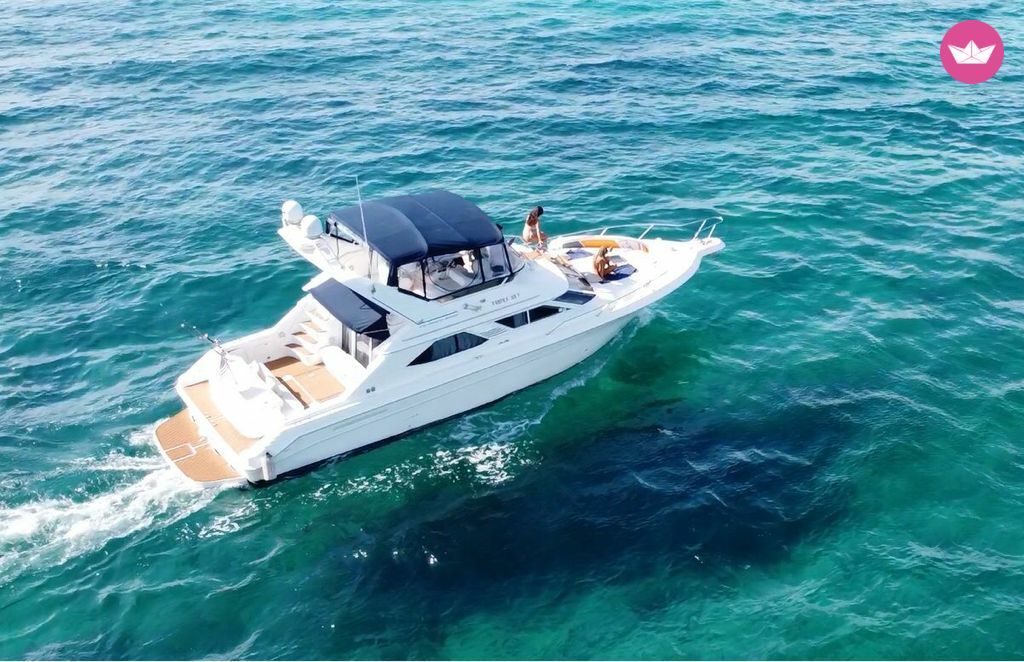 Bateau à moteur Sea Ray