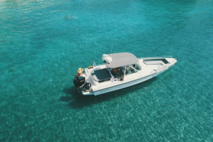 Rental Motorboat Axopar 28 T-top Naxos